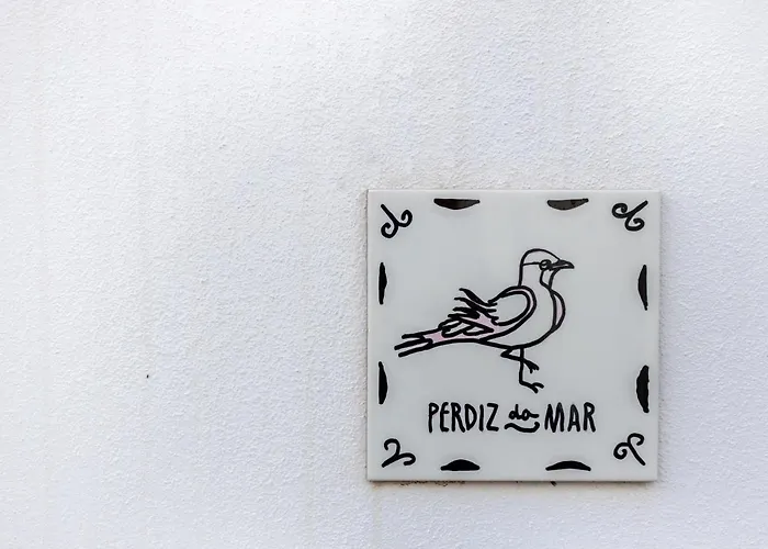 公寓 Perdiz Do Mar *